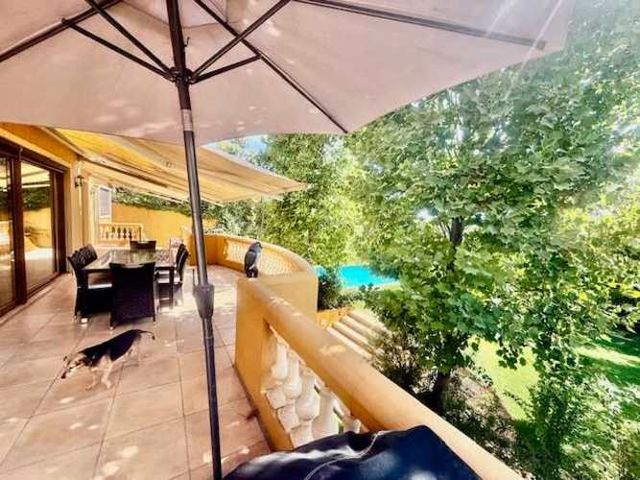 Mirador de Los Domínicos, Finísima (83702)