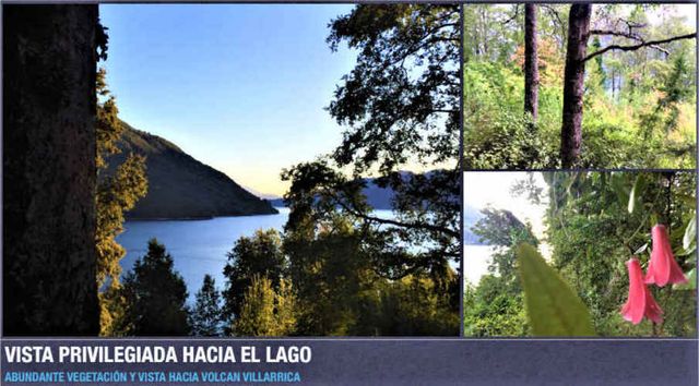 TERRENO CONSTRUCCION LAGO CABURGUA