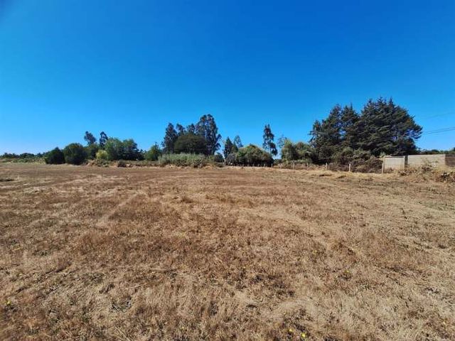 SITIO Camino Botrolhue