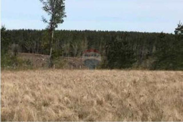 &quot;serenidad y belleza: parcela en pucoihue&quot;