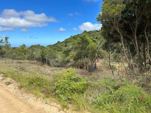 Parcela PARCELA EN FUNDO PUERTECILLO