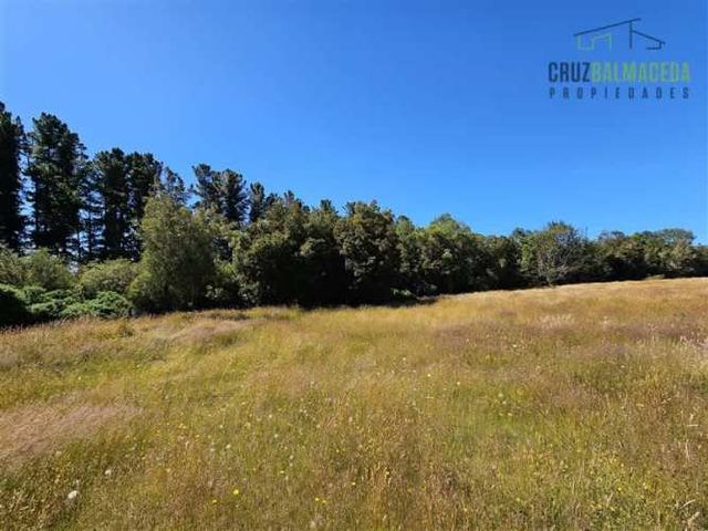 PARCELA A 100 metros del camino Panitao