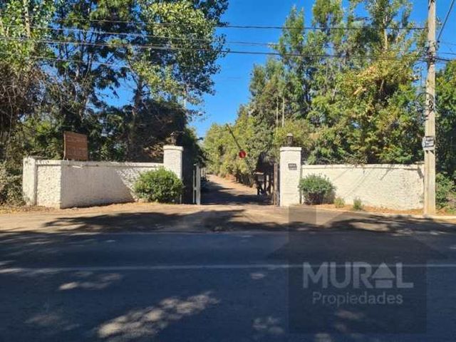 PARCELA Camino El Oliveto - Balmaceda - Talagante