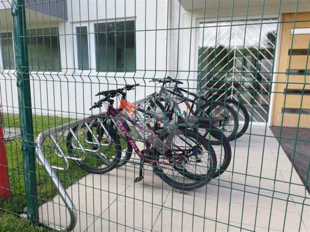 DEPARTAMENTO Pelluco