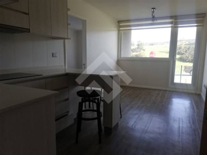 DEPARTAMENTO Pelluco