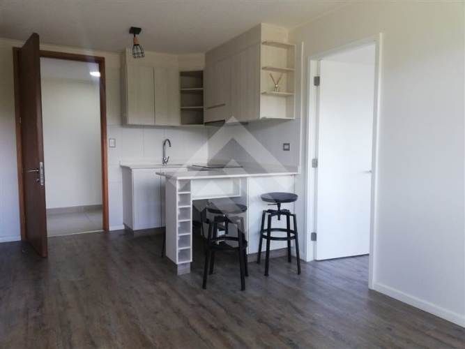 DEPARTAMENTO Pelluco