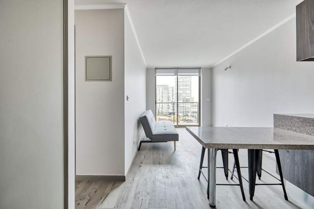 Vicuña Urban [1322-16]