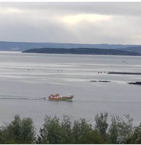 PARCELA Sector Oqueldan