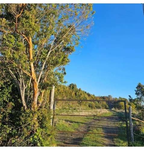 PARCELA Sector Oqueldan