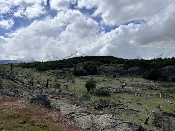 PARCELA Las Ardillas