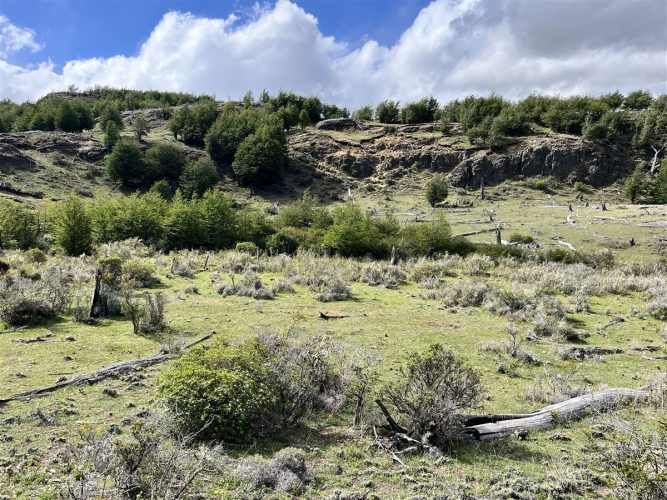 PARCELA Las Ardillas