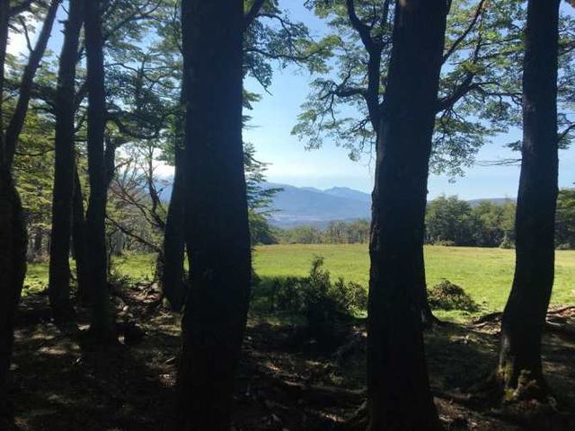 SITIO Rio Overo Negro