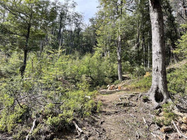 SITIO Puerto Bertrand