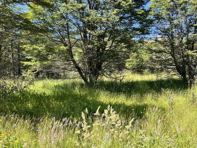 SITIO Hacienda Alta Vista