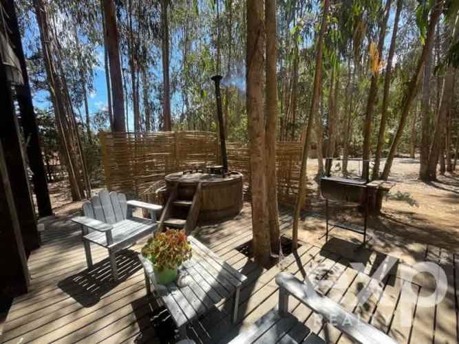 LOCAL COMERCIAL PUNTA DE LOBOS