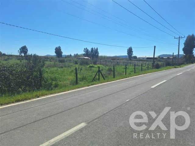 AGRICOLA Camino a Trinidad lote A1 S