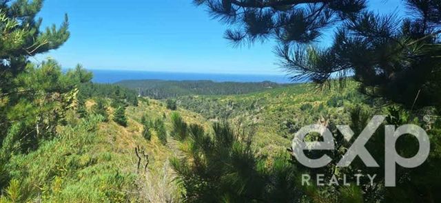 PARCELA Sitio L296 10.500 m2 Alto Colorado, Pichilemu