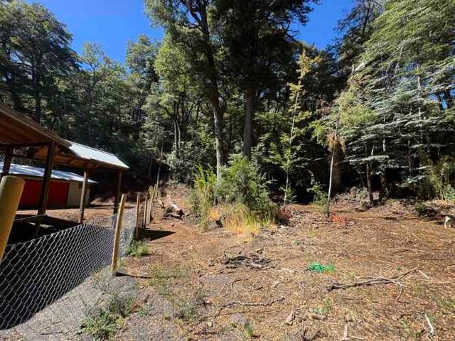 Parcela 5.000M2 Valle Las Trancas camino Termas de Chillán.