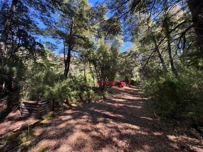 Parcela de 9.300M2 km 62 camino Termas de Chillán con orilla Río