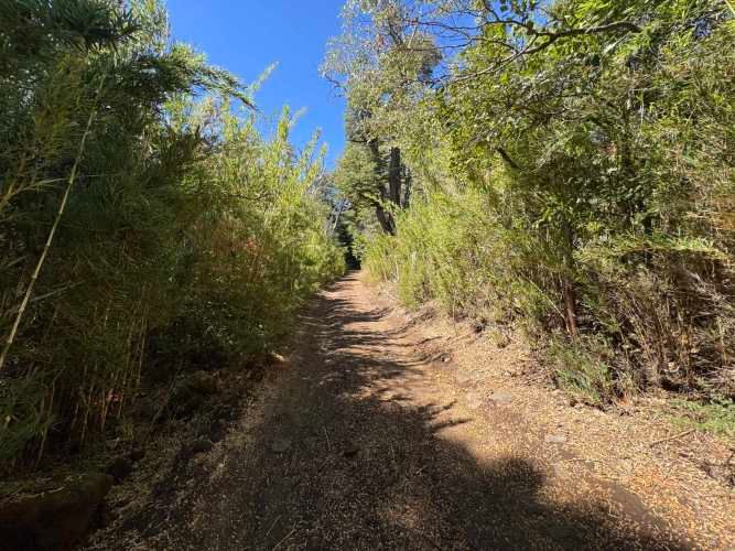 Parcela de 9.300M2 km 62 camino Termas de Chillán con orilla Río