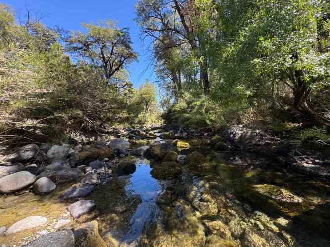 Parcela de 9.300M2 km 62 camino Termas de Chillán con orilla Río