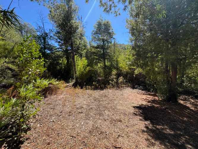 Parcela de 9.300M2 km 62 camino Termas de Chillán con orilla Río