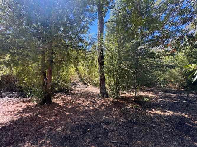 Parcela de 9.300M2 km 62 camino Termas de Chillán con orilla Río