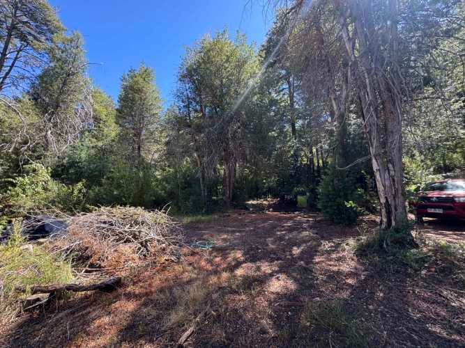 Parcela de 9.300M2 km 62 camino Termas de Chillán con orilla Río