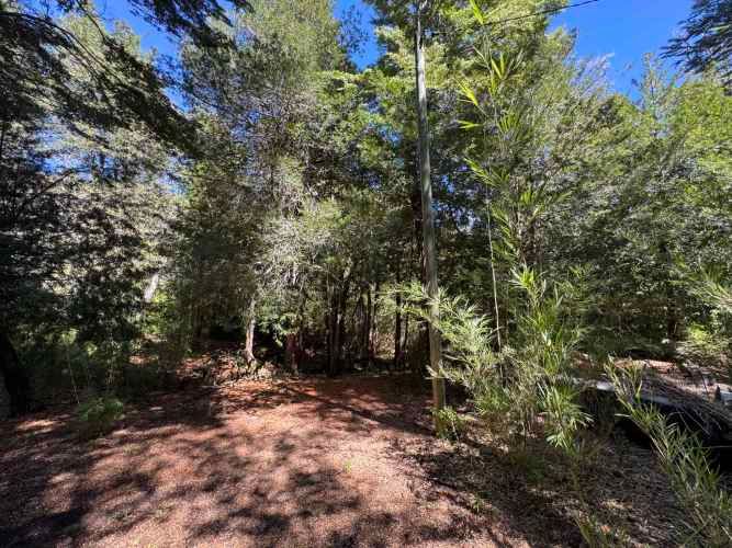 Parcela de 9.300M2 km 62 camino Termas de Chillán con orilla Río