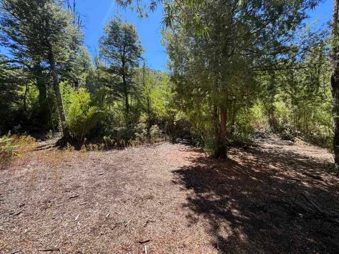 Parcela de 9.300M2 km 62 camino Termas de Chillán con orilla Río