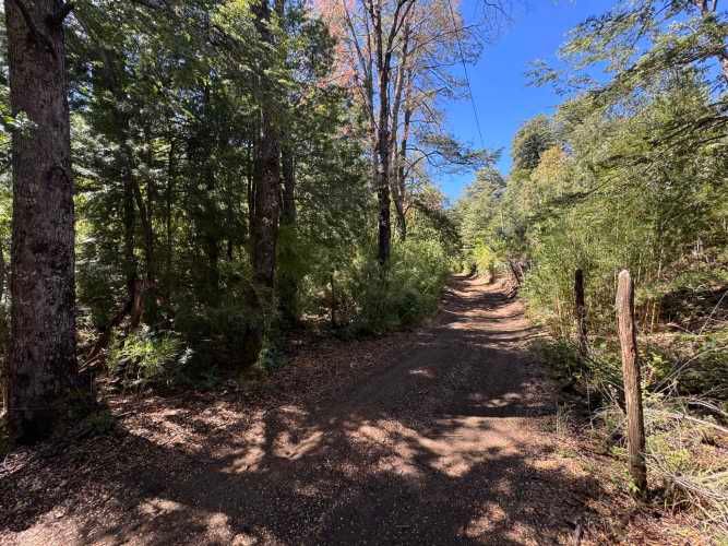 Parcela de 9.300M2 km 62 camino Termas de Chillán con orilla Río