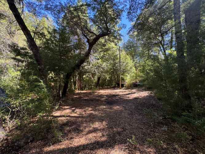 Parcela de 9.300M2 km 62 camino Termas de Chillán con orilla Río