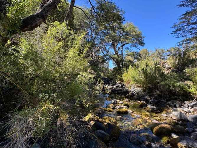 Parcela de 9.300M2 km 62 camino Termas de Chillán con orilla Río