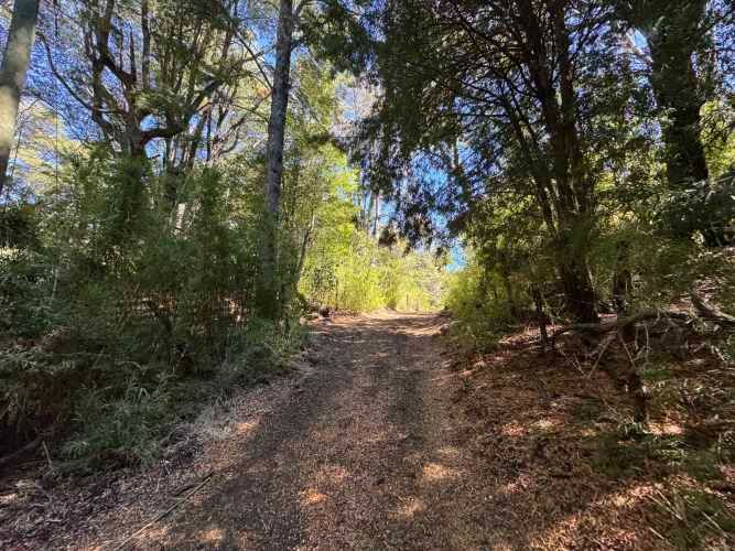 Parcela de 9.300M2 km 62 camino Termas de Chillán con orilla Río