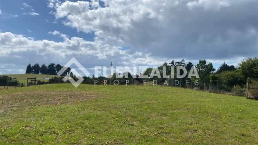 PARCELA Línea Nueva