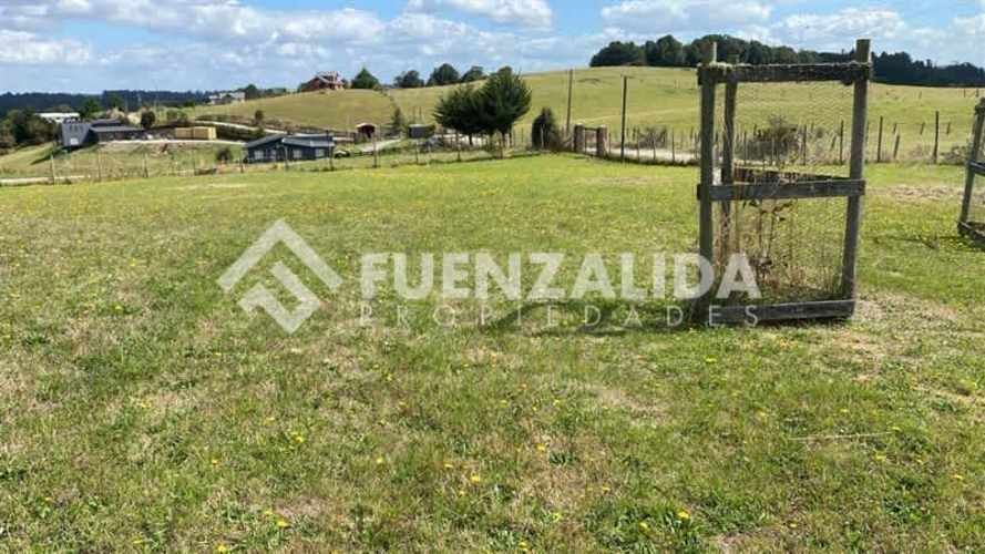 PARCELA Línea Nueva