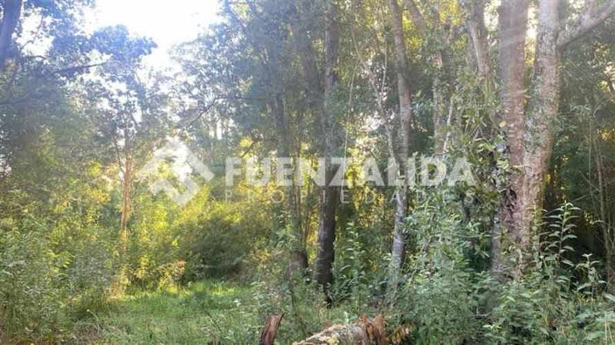 PARCELA Molino Viejo