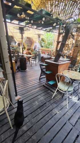 Oportunidad Local Condell con Santa Isabel