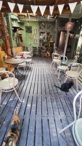 Gran Local Barrio Italia