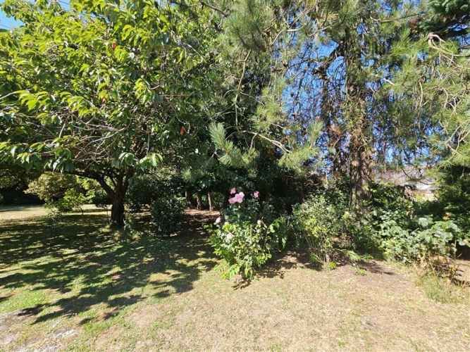 SITIO A pasos del centro