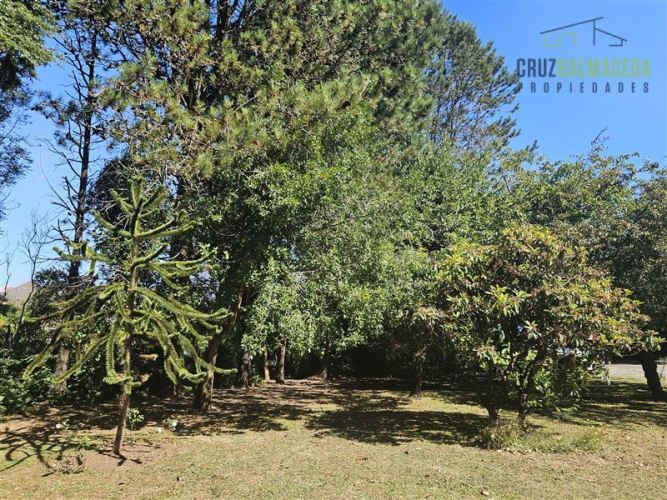 SITIO A pasos del centro