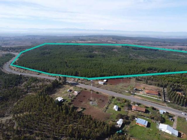 AGRICOLA ruta los conquistadores