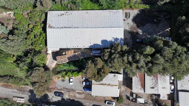 LOCAL COMERCIAL Flor del maule lote&nbsp;12&nbsp;san&nbsp;Javier