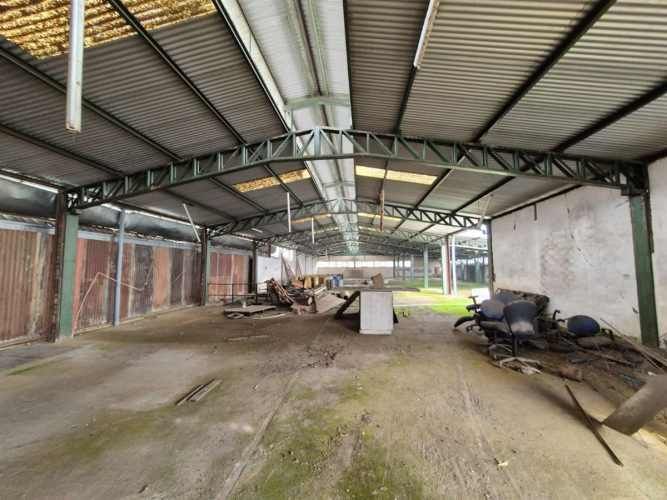 LOCAL COMERCIAL 1 sur