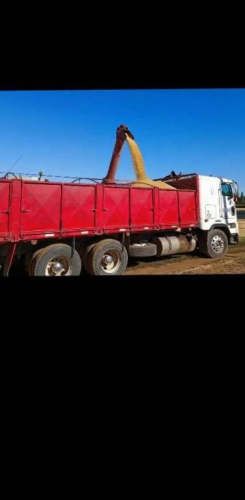 Camión granelero 1996 con carro año 2012, equipo completo PRECIO CONVERSABLE