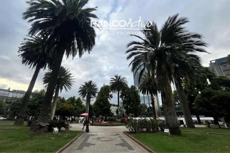 OFICINA Antonio Varas