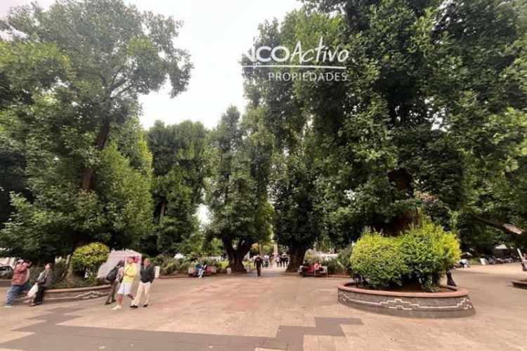 OFICINA Antonio Varas