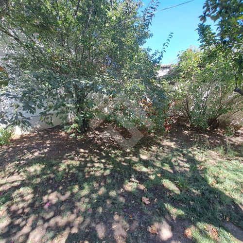 CASA Piramide / San Francisco