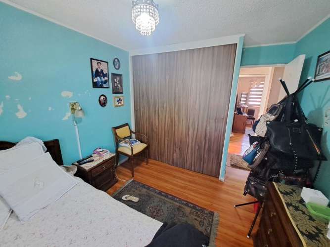 Vargas Buston - Metro (86466)