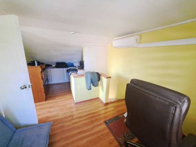 Vargas Buston - Metro (86466)